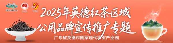盈通策略 为塞北奉上甜甜的夏季消暑茶！英德红茶连续两年走进呼和浩特