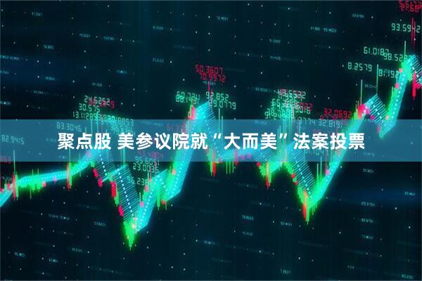 聚点股 美参议院就“大而美”法案投票