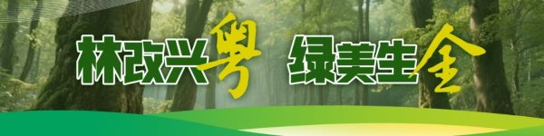 富邦优配 清远英德林改提速！采伐审批＂日办结＂ ，释放林下经济新动能