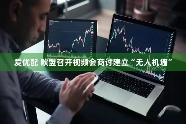 爱优配 欧盟召开视频会商讨建立“无人机墙”