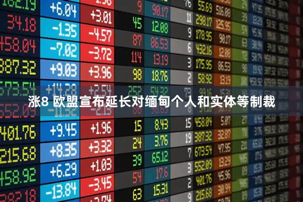 涨8 欧盟宣布延长对缅甸个人和实体等制裁