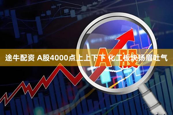 途牛配资 A股4000点上上下下 化工板块扬眉吐气